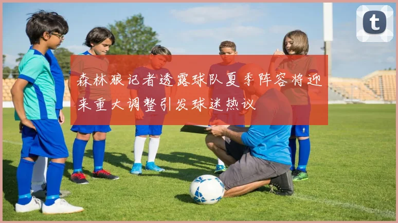 森林狼记者透露球队夏季阵容将迎来重大调整引发球迷热议
